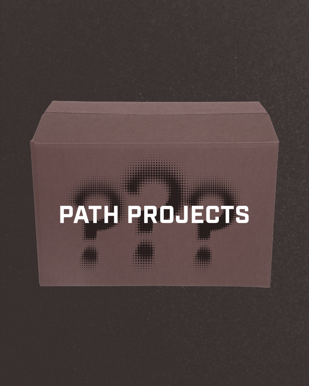Path Projects Mystery Box